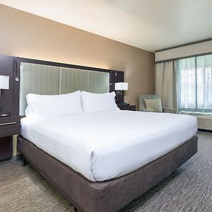 King Room Hearing Accessible Roll Shower